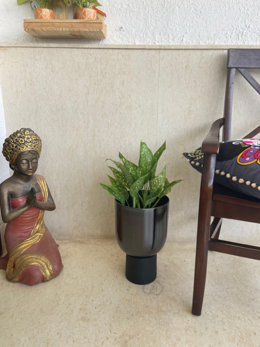 Buy Planter - Decorative Black Floor Planter On a Pedestal | Flower Pot For Indoor & Outdoor Decor by House of Trendz on IKIRU online store