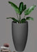 Buy Planter - Decorative Fiberglass Floor Planter | Plant & Flower Pot For Home Decor by Lloka on IKIRU online store