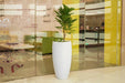 Buy Planter - Decorative Fiberglass Floor Planter | Plant & Flower Pot For Home Decor by Lloka on IKIRU online store
