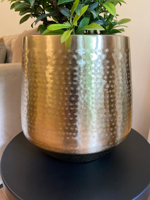 Buy Planter - Decorative Golden Metal Stratton Floor Planter | Table Flower Pot For Home Decor by House of Trendz on IKIRU online store