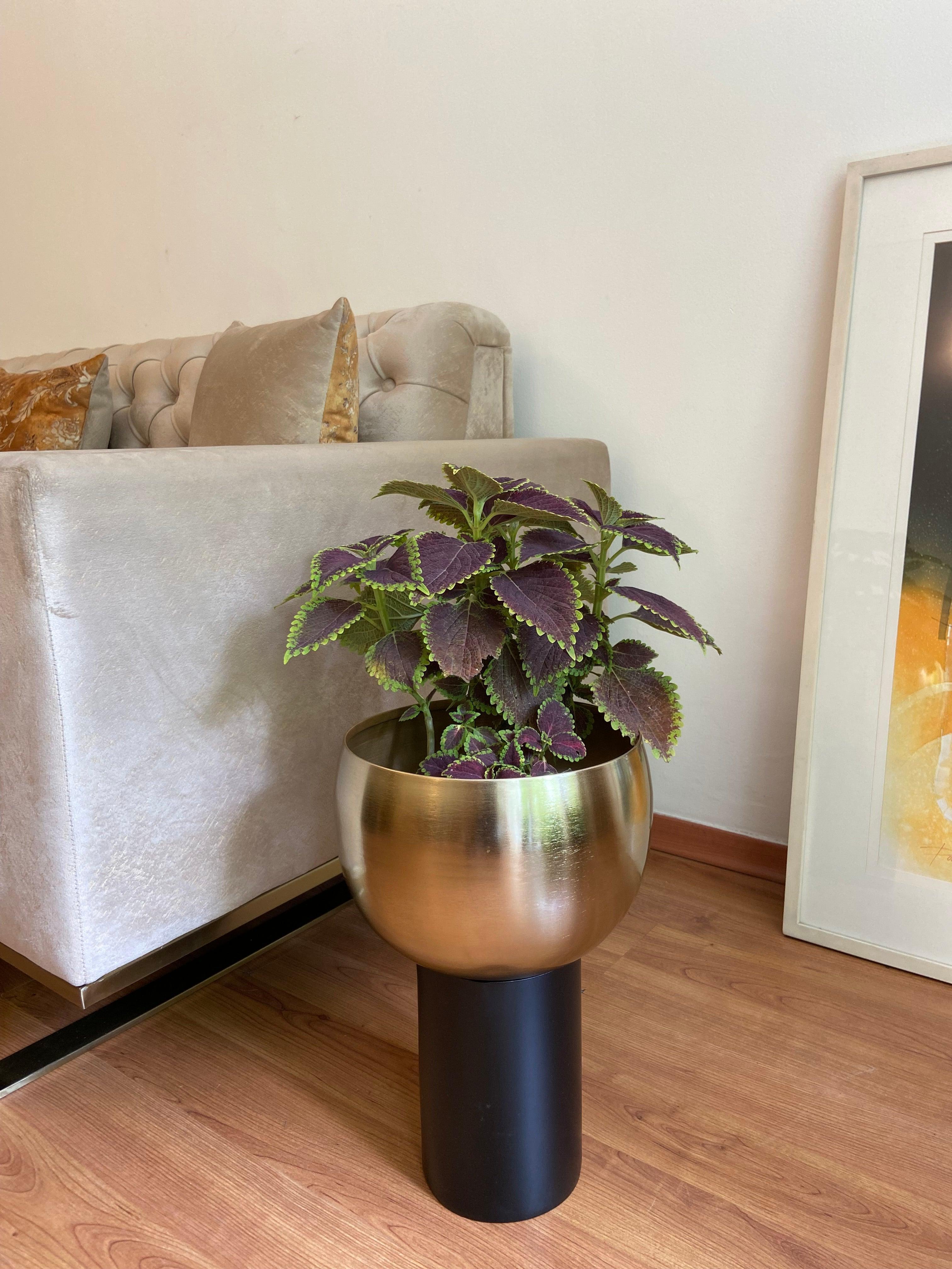Gold & Black Metal Decorative Floor Planter | Cylindrical Flower