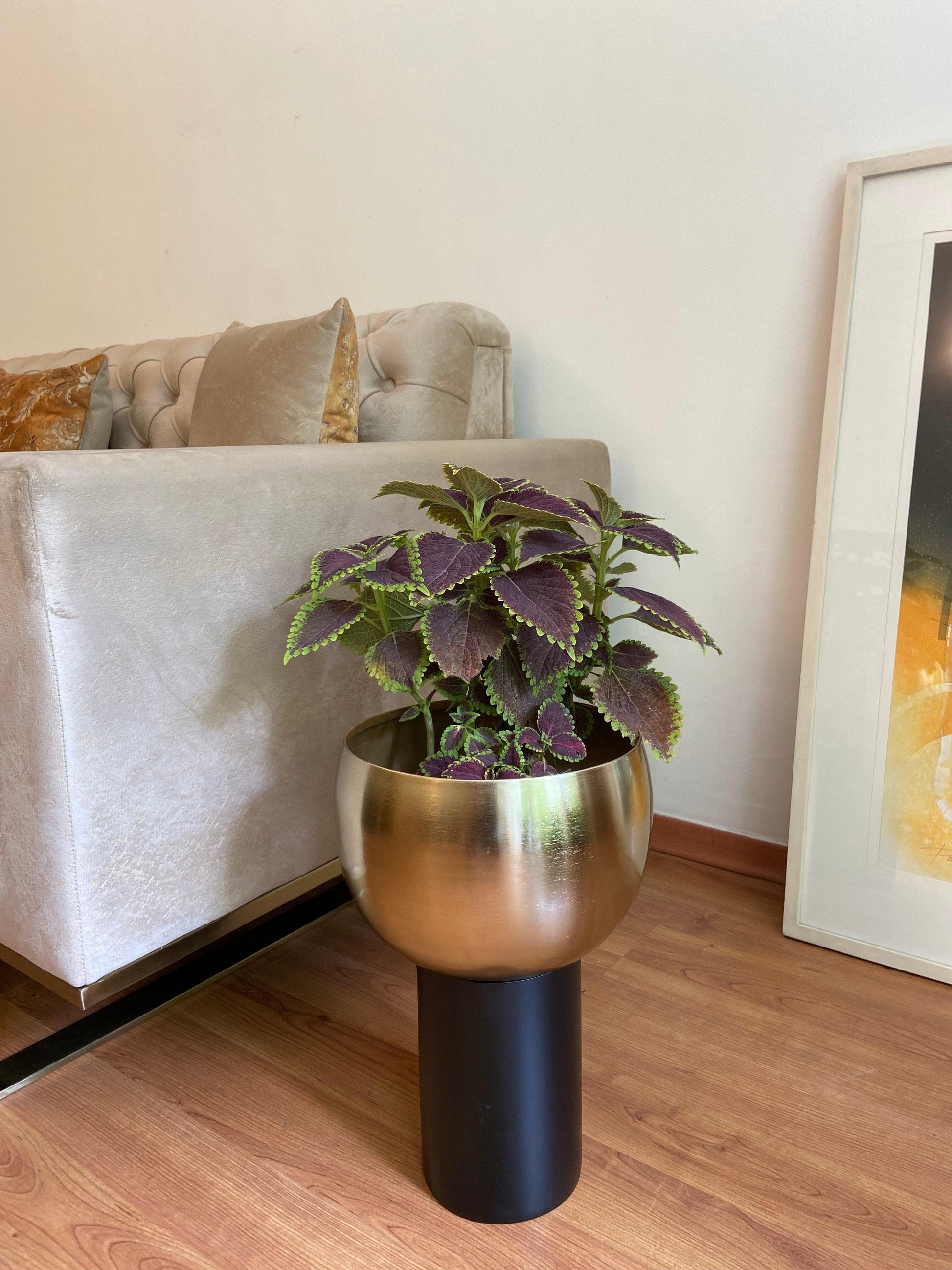 Buy Planter - Gold & Black Metal Decorative Floor Planter | Cylindrical Flower Pot With Base For Home Decor by House of Trendz on IKIRU online store