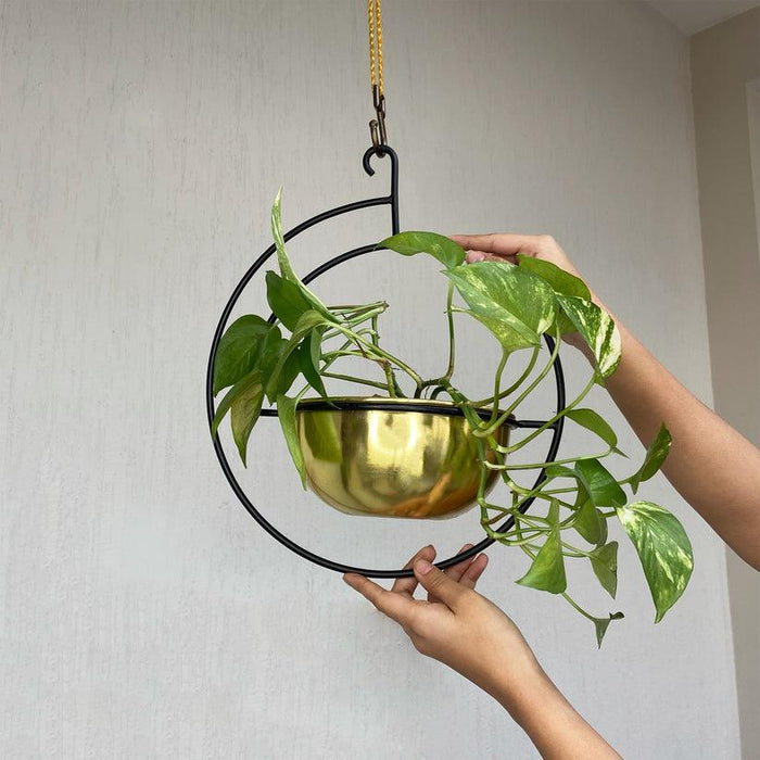 Buy Planter - Gold & Black Metal Vega Round Hanging Planter | Flower Pot For Indoor & Outdoor Decor by Muun Home on IKIRU online store