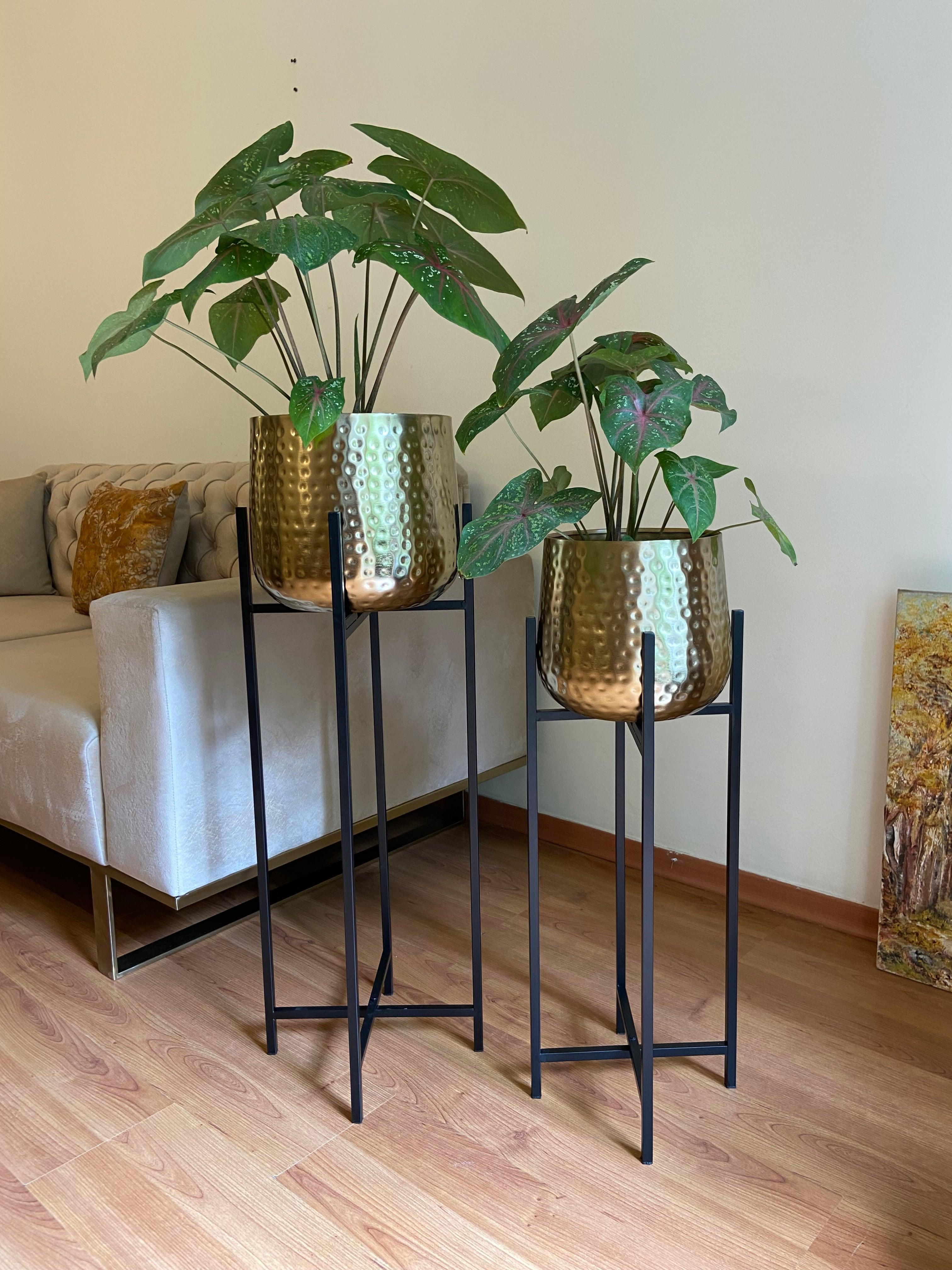 Buy Planter - Golden & Black Bold and Brassy Floor Planter With Stand Set of 2 For Home Decor by House of Trendz on IKIRU online store