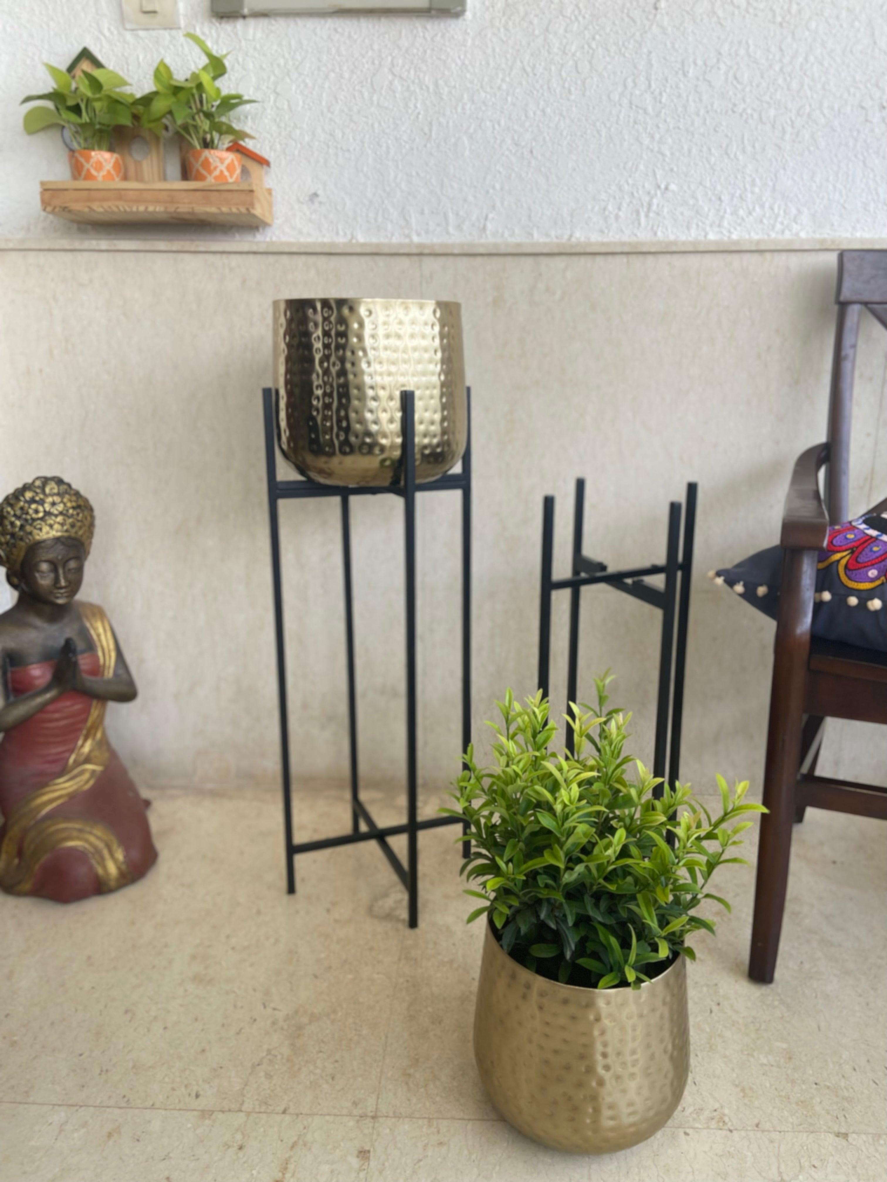 Buy Planter - Golden & Black Bold and Brassy Floor Planter With Stand Set of 2 For Home Decor by House of Trendz on IKIRU online store