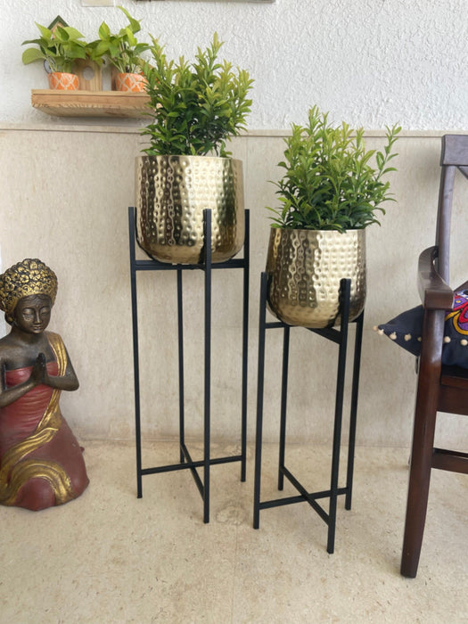 Buy Planter - Golden & Black Bold and Brassy Floor Planter With Stand Set of 2 For Home Decor by House of Trendz on IKIRU online store