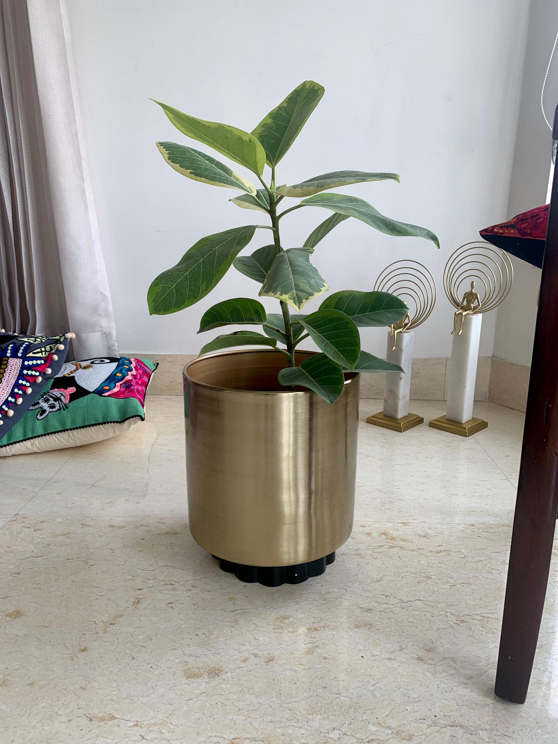 Buy Planter - Golden Metal Nordic Style Floor Planter | Decorative Standing Flower Pot For Home by House of Trendz on IKIRU online store