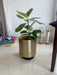 Buy Planter - Golden Metal Nordic Style Floor Planter | Decorative Standing Flower Pot For Home by House of Trendz on IKIRU online store