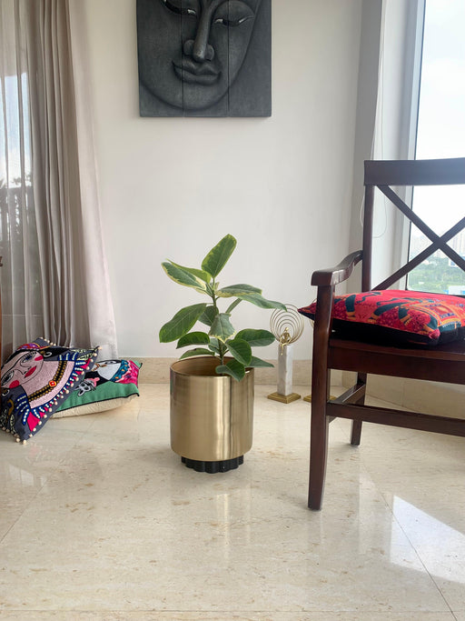 Buy Planter - Golden Metal Nordic Style Floor Planter | Decorative Standing Flower Pot For Home by House of Trendz on IKIRU online store