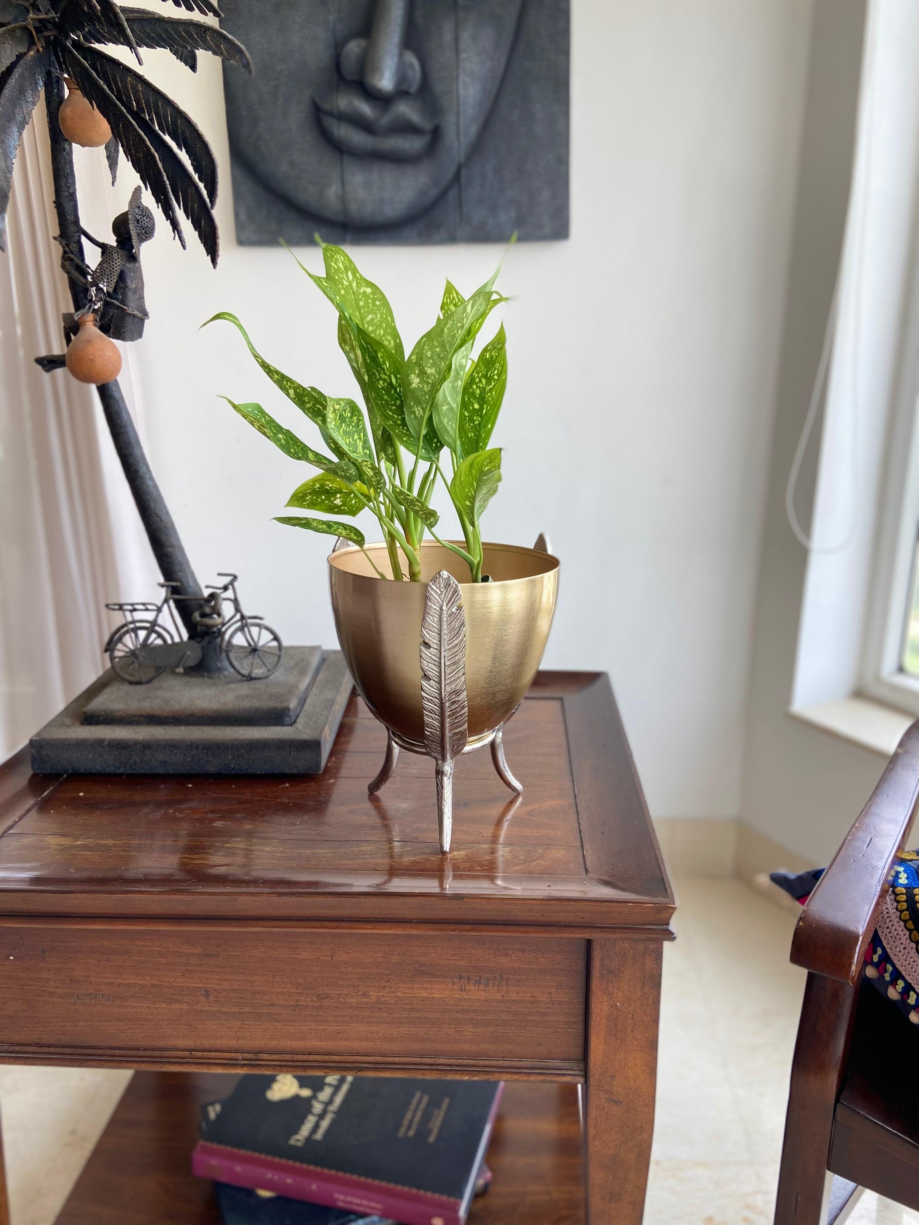 Buy Planter - Golden Metal With Silver Leaf Decorative Table Planter For Living Room & Home Decor by House of Trendz on IKIRU online store