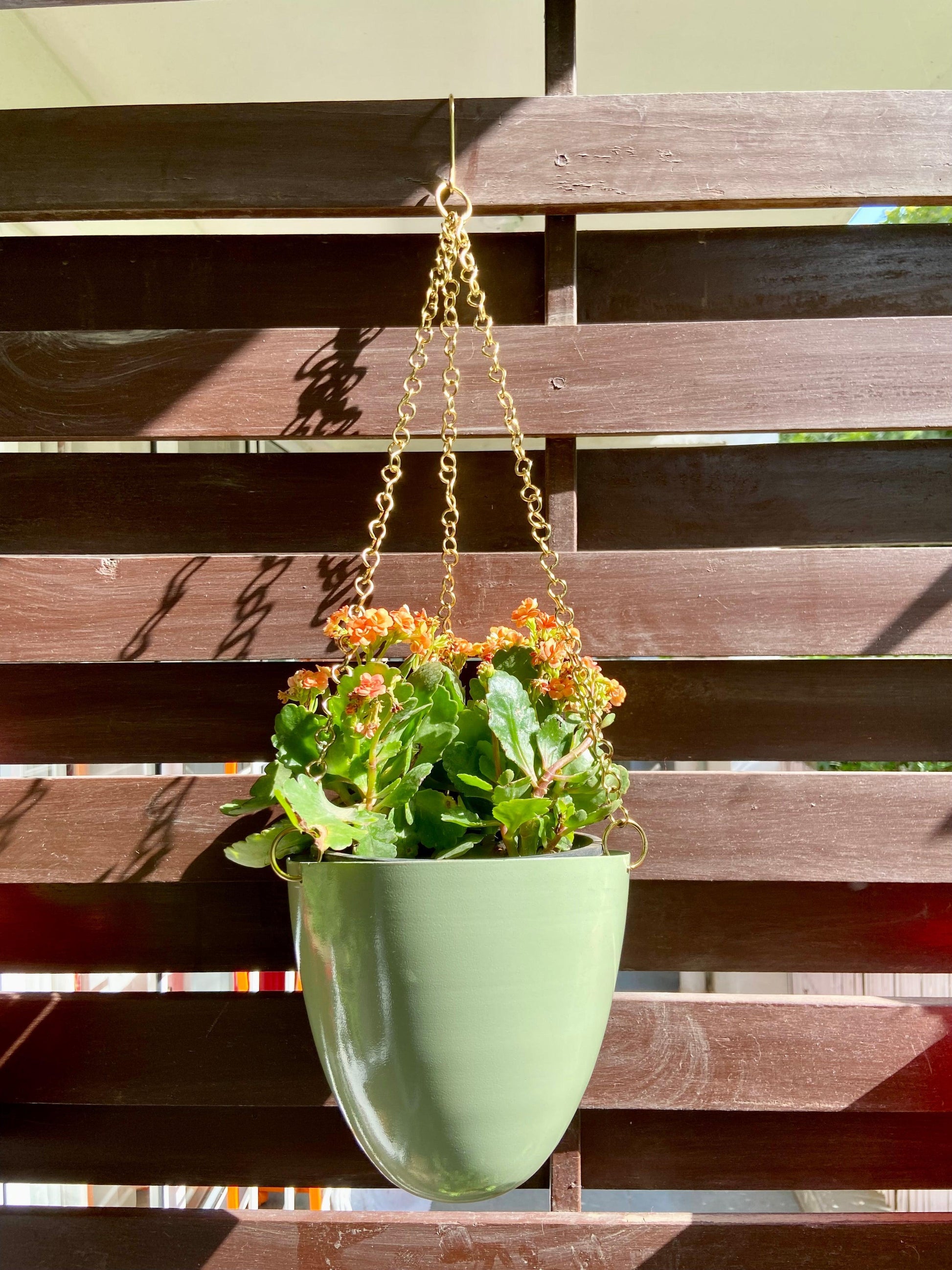 Buy Planter - Green Metal Decorative Wall Hanging Planter | Round Pot For Indoor or Outdoor Space by House of Trendz on IKIRU online store