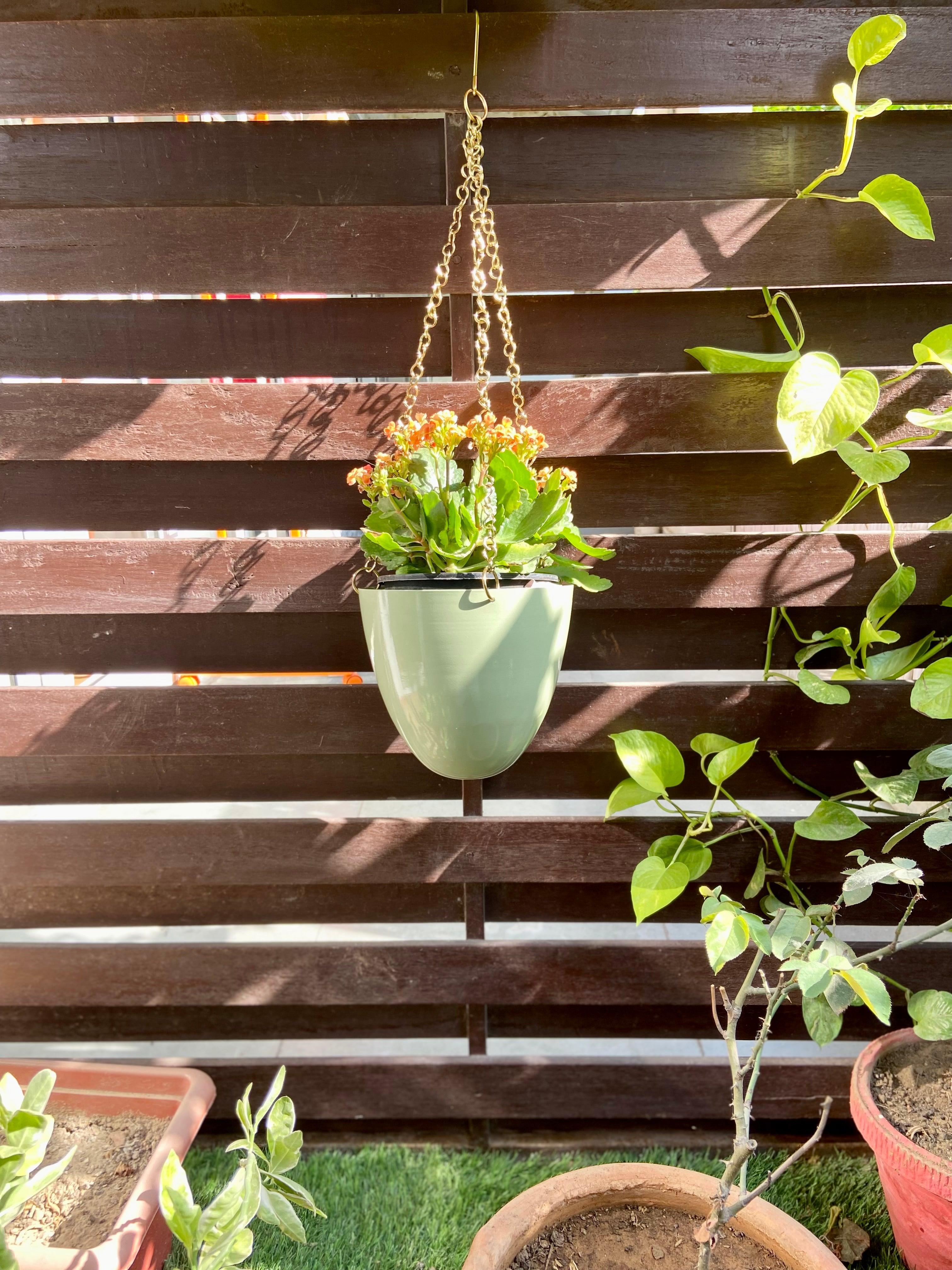 Buy Planter - Green Metal Decorative Wall Hanging Planter | Round Pot For Indoor or Outdoor Space by House of Trendz on IKIRU online store