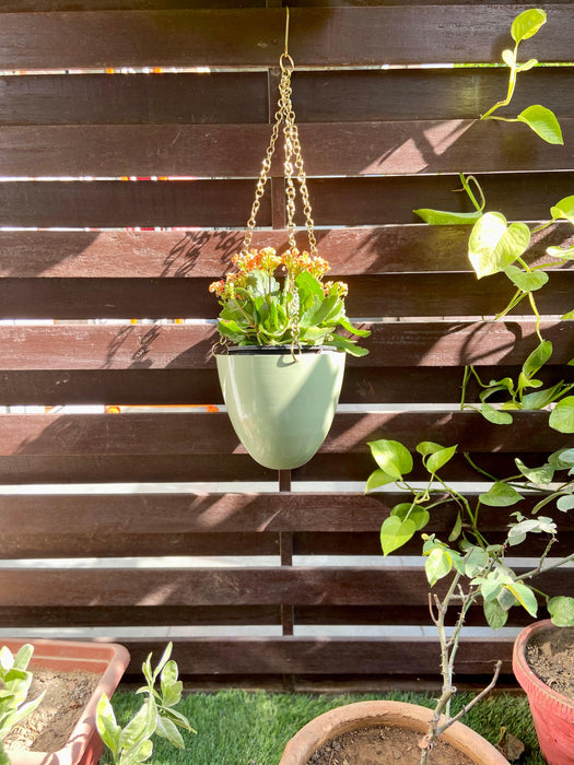 Buy Planter - Green Metal Decorative Wall Hanging Planter | Round Pot For Indoor or Outdoor Space by House of Trendz on IKIRU online store