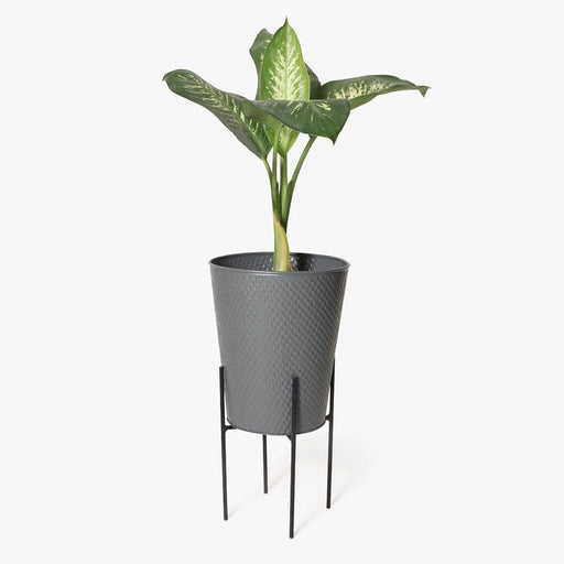 Buy Planter - Grey Metal Plant Stand For Indoor And Outdoor Plantations by Casa decor on IKIRU online store