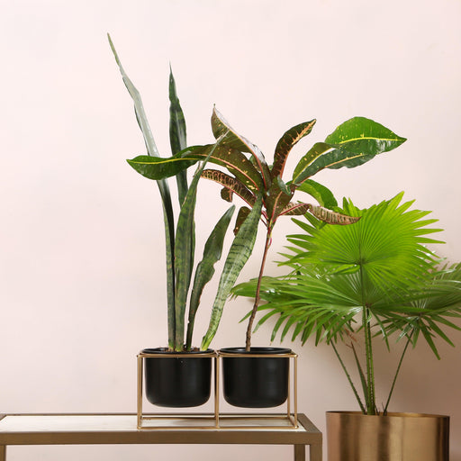 Buy Planter - Metal Quirky Shape Twin Pots With Stand | Set of 2 Black Pots and Golden Plant Stand by Manor House on IKIRU online store