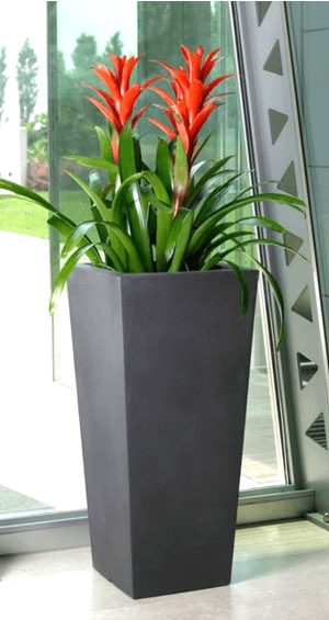 Buy Planter - Modern Fiberglass Floor Planter For Decoration | Tabletop Standing Pot For Indoor & Outdoor by Lloka on IKIRU online store