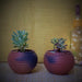 Buy Planter - Reduction Fired Terracotta & Jute Hanging Cum Desktop Planters Set Of 2 by Terracotta By Sachii on IKIRU online store