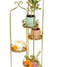 Buy Planter - Soha Planter Tall Gold Finish | Outdoor Multipurpose Stand For Plants by Manor House on IKIRU online store