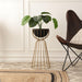 Buy Planter - Twin Bloom Floor Planter | Pot Stand For Home & Office Decor by De Maison Decor on IKIRU online store