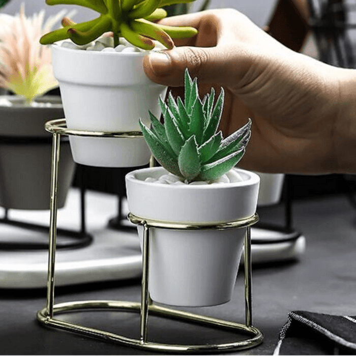 Buy Planter - Twin Small Pots Grey Planter for Living Room | Flower Pot for Home Decor by ISAAKA on IKIRU online store