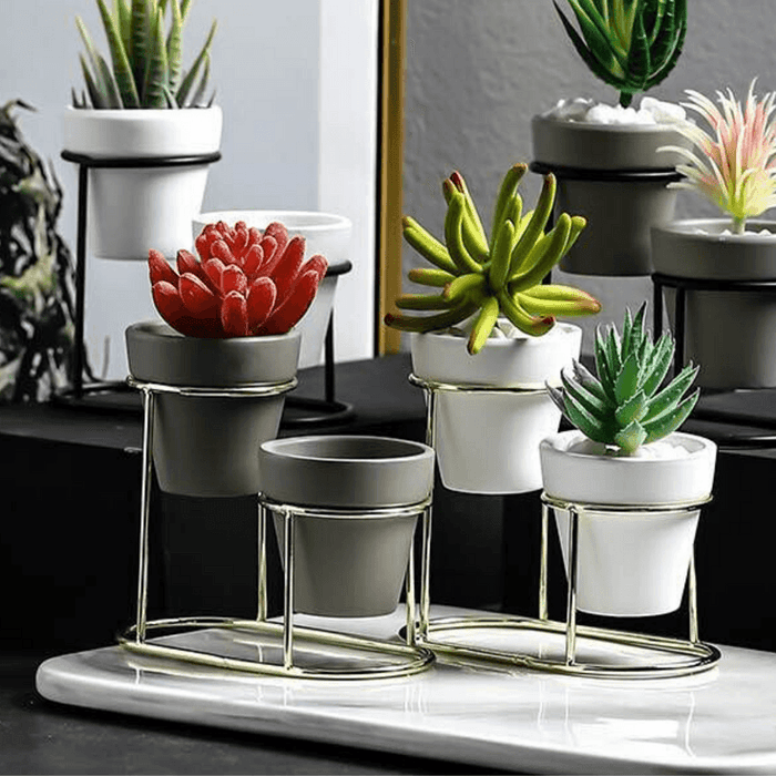 Buy Planter - Twin Small Pots Grey Planter for Living Room | Flower Pot for Home Decor by ISAAKA on IKIRU online store