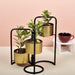 Buy Planter - Veena Black Foldable Planter With 3 Detachable Pots by Manor House on IKIRU online store