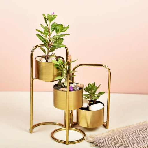 Buy Planter - Veena Gold Foldable Planter with 3 Pots | Luxury Vase Pot by Manor House on IKIRU online store