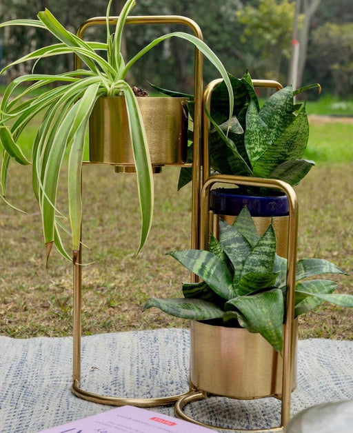 Buy Planter - Veena Gold Foldable Planter with 3 Pots | Luxury Vase Pot by Manor House on IKIRU online store