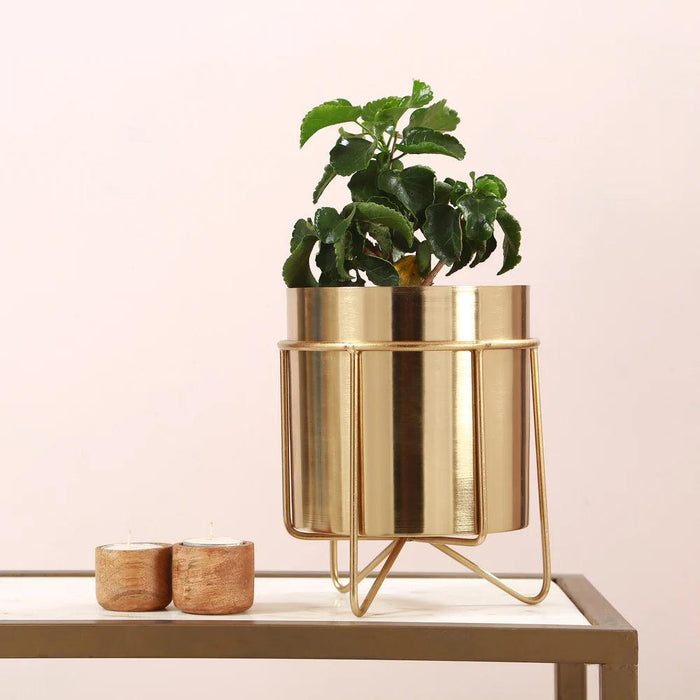 Buy Planter - Waves Golden Metal Planter with Stand 8.3 inches tall by Manor House on IKIRU online store