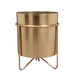 Buy Planter - Waves Golden Metal Planter with Stand 8.3 inches tall by Manor House on IKIRU online store