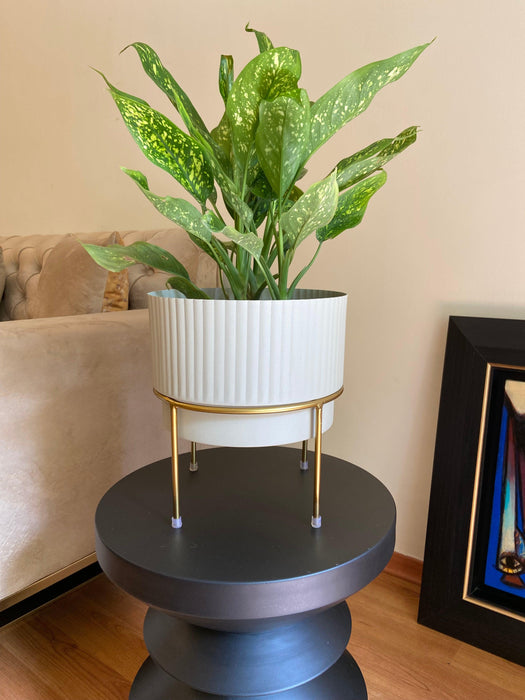 Buy Planter - White & Golden Metallic Zaria Planter | Decorative Table Flower Pot For Home & Living Space by House of Trendz on IKIRU online store