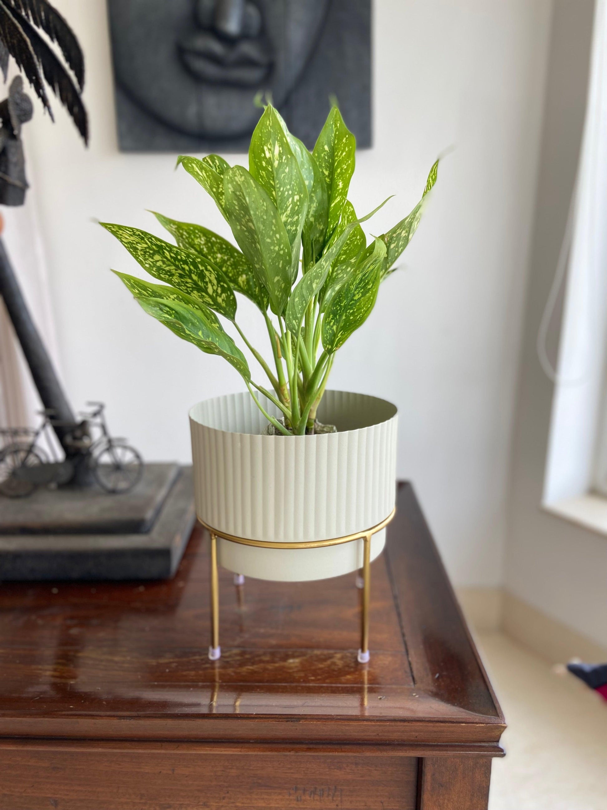 Buy Planter - White & Golden Metallic Zaria Planter | Decorative Table Flower Pot For Home & Living Space by House of Trendz on IKIRU online store