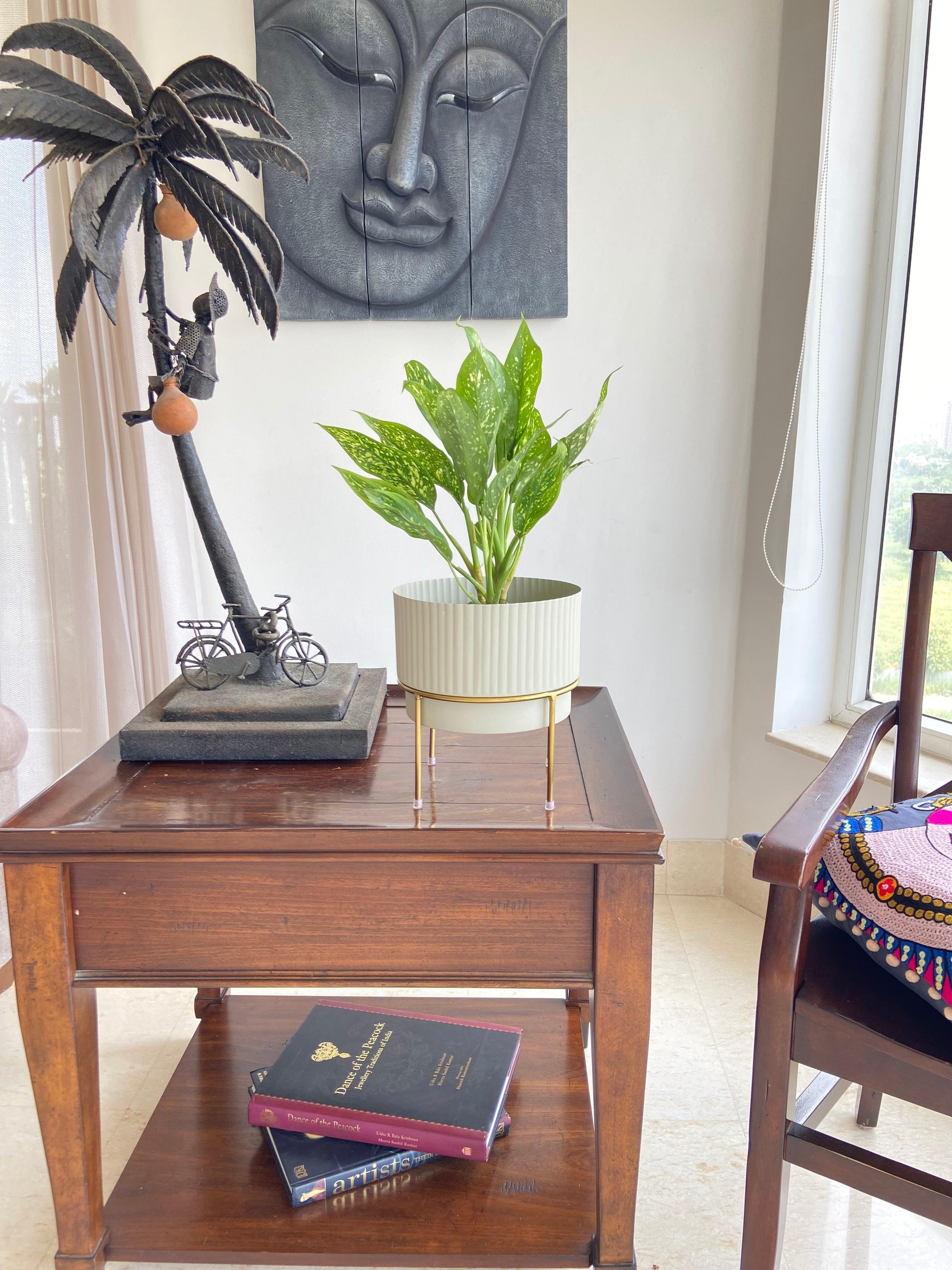 Buy Planter - White & Golden Metallic Zaria Planter | Decorative Table Flower Pot For Home & Living Space by House of Trendz on IKIRU online store