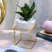 Buy Planter - White Gold Square Planter by ISAAKA on IKIRU online store