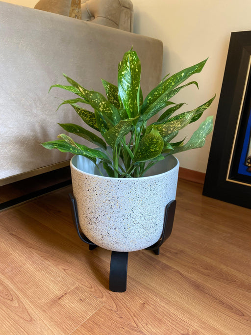 Buy Planter - White Terrazzo & Metal Stylish Floor Planter | Tabletop Flower Pot With Stand For Home Decor by House of Trendz on IKIRU online store