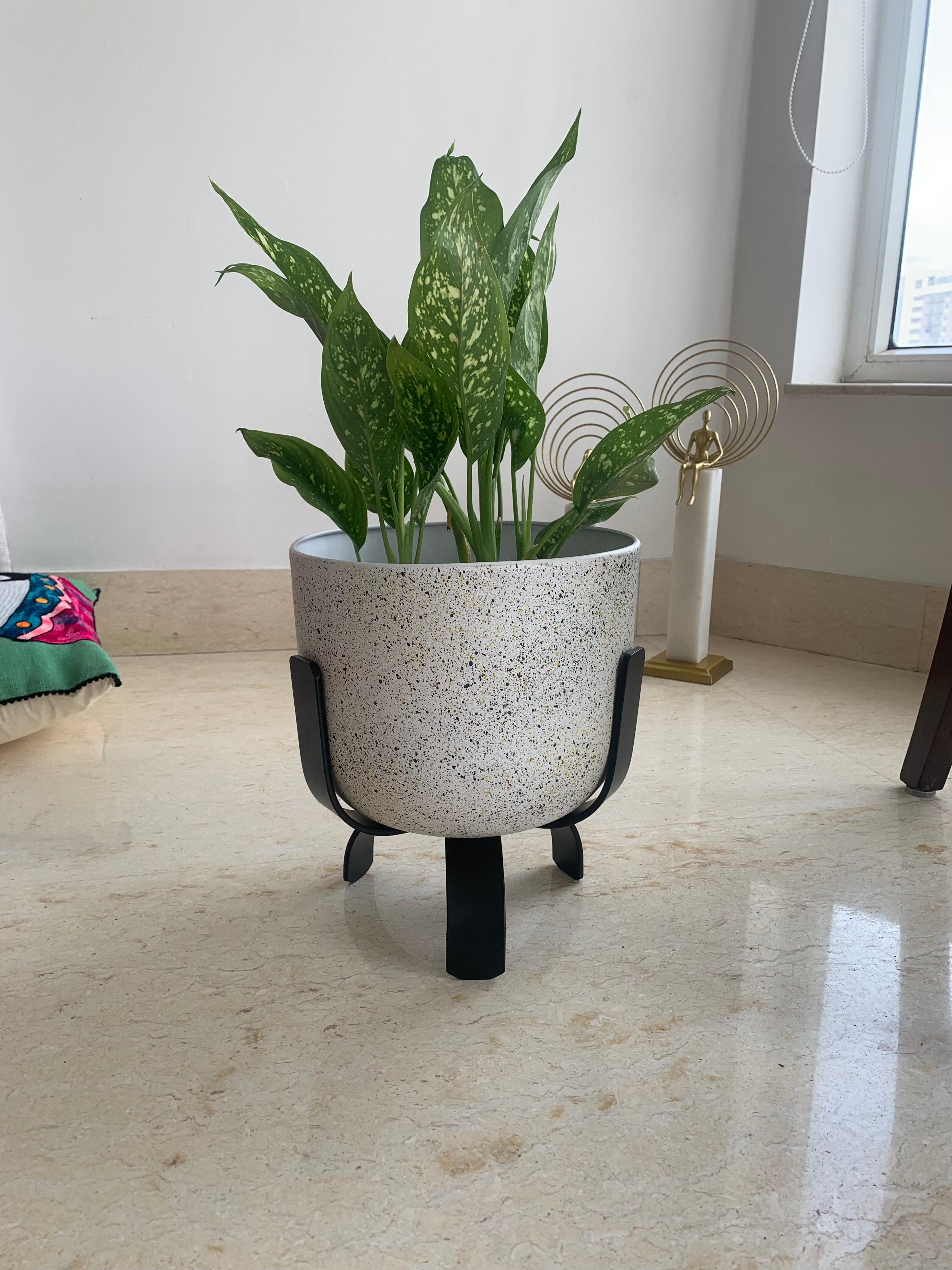 Buy Planter - White Terrazzo & Metal Stylish Floor Planter | Tabletop Flower Pot With Stand For Home Decor by House of Trendz on IKIRU online store