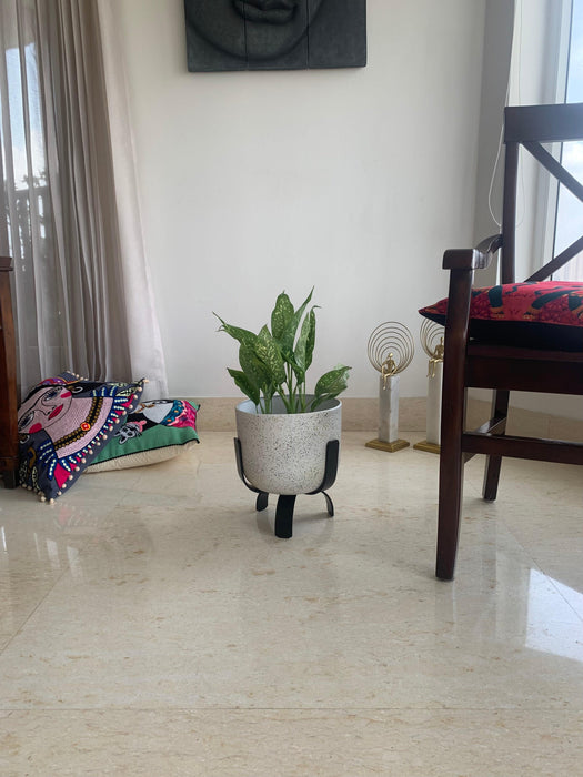 Buy Planter - White Terrazzo & Metal Stylish Floor Planter | Tabletop Flower Pot With Stand For Home Decor by House of Trendz on IKIRU online store