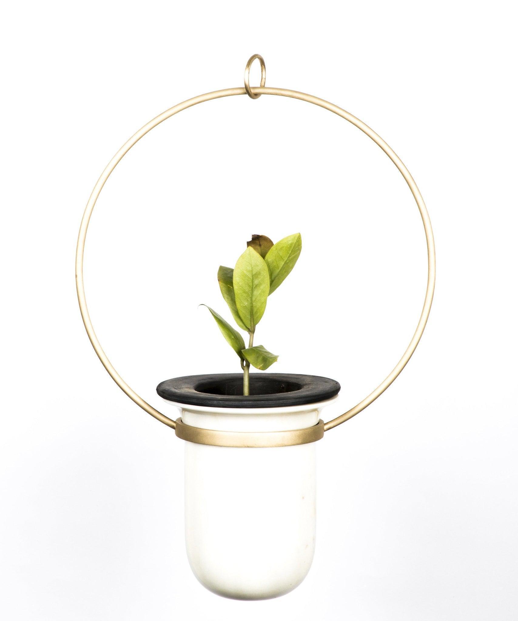 Buy Planters Selective Edition - Birbal Planter For Home Decor and living room by Anantaya on IKIRU online store