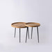 Buy Side Table - Wooden Top Unique Side Table Set Of 2 | Round Nesting Coffee Tables For Home by Indecrafts on IKIRU online store
