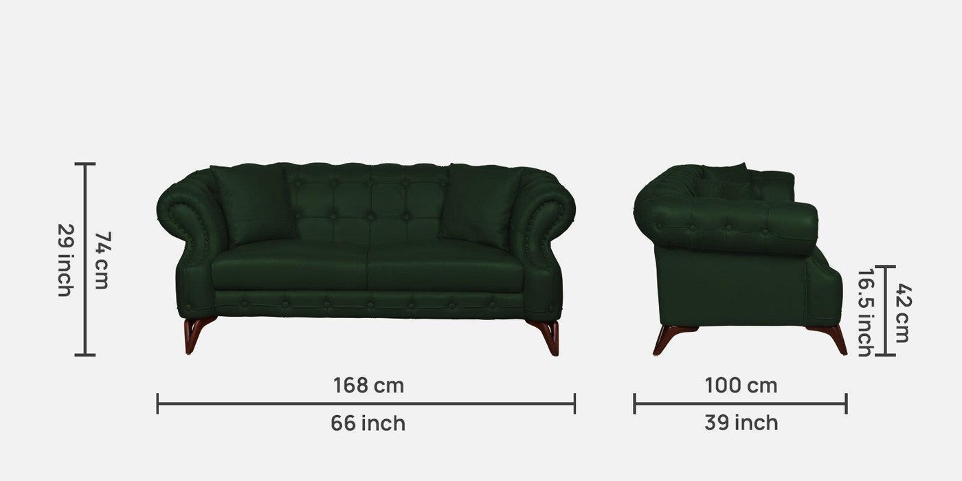 Buy Sofas - Vivaldi Genuine Leather Modern design Fabric sofa In Olive Green Colour by Furnitech on IKIRU online store