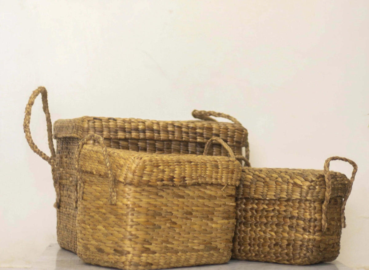 Buy Storage & Organizer - Storage Boxes with Lid and Handles for Decor | Wicker Knotted Basket by Ardpure on IKIRU online store
