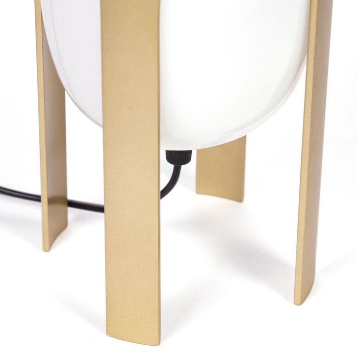 Buy Table Lamps Selective Edition - Ettore Table Lamp by Anantaya on IKIRU online store