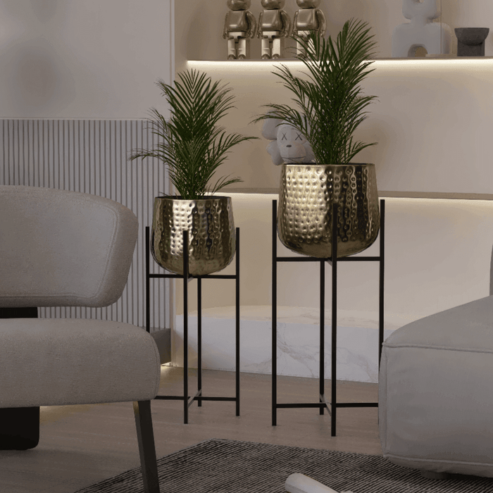 Buy The House Of Trendz - Bold and Brassy Planter Set Light for Living Room | Flower Pot by The House of Trendz on IKIRU online store