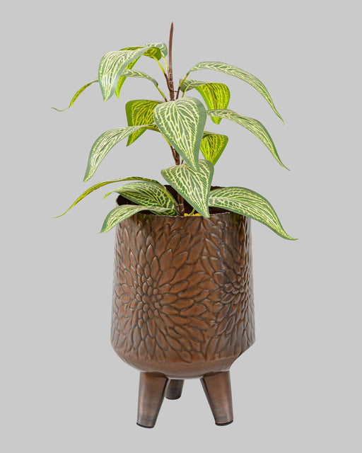 Buy The House Of Trendz - Footed Hand Carved Planter | Metal Indoor Planter by The House of Trendz on IKIRU online store