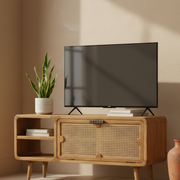 Carter TV Cabinet | Storage Table For Home Decor