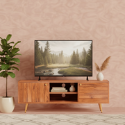 Slat TV Cabinet for Living Room | Wooden TV Unit | Media Console