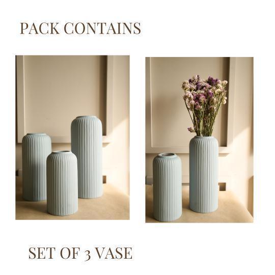 Buy Vase - Modern Ribbed Vase Set of 3 | Vase for Living Room by Arte Casa on IKIRU online store