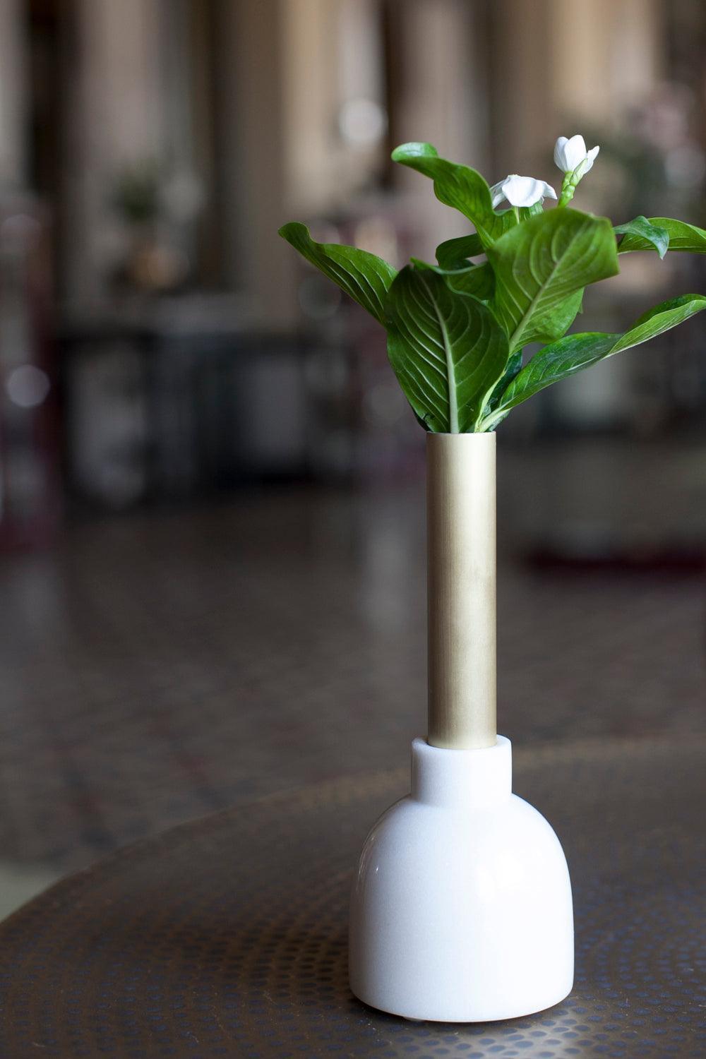 Buy Vase Selective Edition - Morbi Slender Bud Vase by AKFD on IKIRU online store