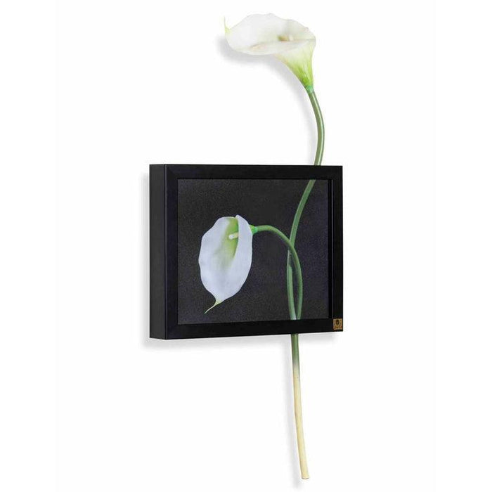 Buy Wall Art - Cala Lily Horizontal Wall Art by ISAAKA on IKIRU online store