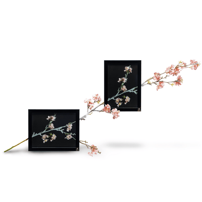 Buy Wall Art - Cherry Blossom (Wall Art) | 3d Frame for Wall Decoration by ISAAKA on IKIRU online store